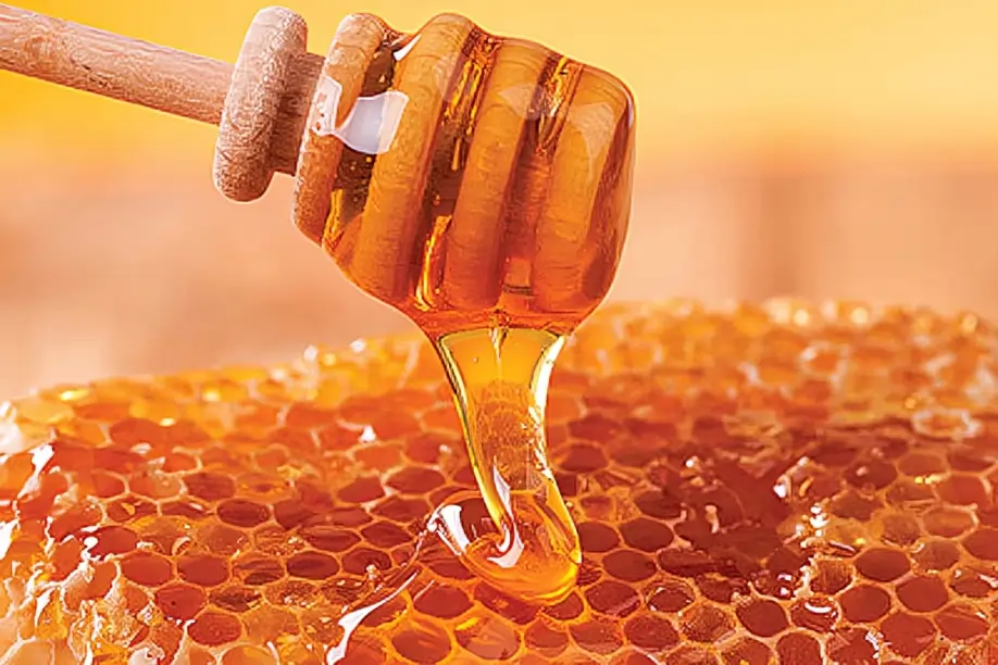 عسل ارگانیک و مراحل تولید آن