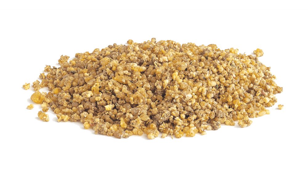 گیاه ترنجبین